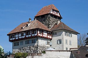 Frauenfeld-Schloss