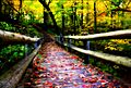 Grant park in the fall - milwaukee