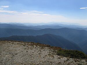 Great Alpine Rd Vic Feathertop1