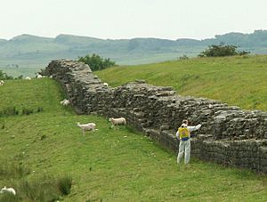 Hadrians Wall with Weedkiller