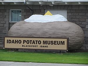 IdahoPotatoMuseumPotato