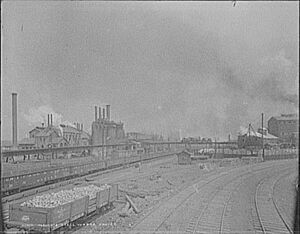 Illinois steel works Joliet