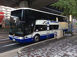 Intercitydd jrtokaibus