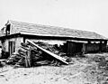 JoseDoloresSepulvedaAdobe
