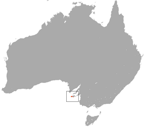 Kangaroo Island Dunnart area.png