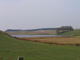 Llyn Fanod - geograph.org.uk - 408705.jpg