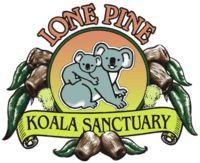 Lone Pine Koala Sanctuary Logo.png