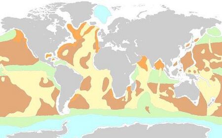 Marinesediments