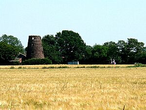 Mill Owner's Private Transport - geograph.org.uk - 196637