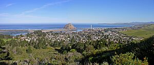 Morro Bay City 1