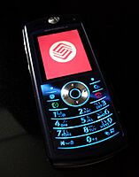 Motorola L71 on the China Mobile network 20100521