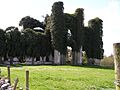 Moydrum Castle