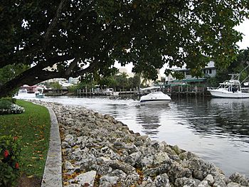 New River (Fort Lauderdale).jpg
