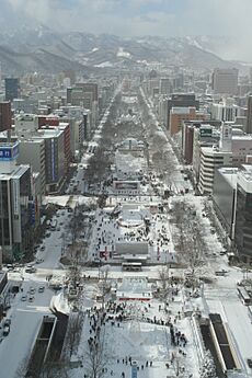 Odori Park Sapporo Snow Festival 2007