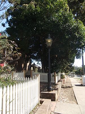Old Gas Lamp Cox's Road Schoolhouse