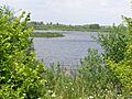 One of many lakes at Stanwick Lakes - June 2009 - panoramio