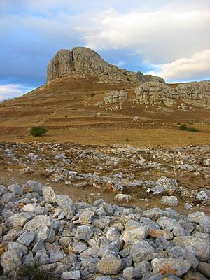 PeñaAmaya005