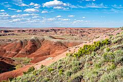 Petrified Forest National Park, Arizona, USA 5 2024 7
