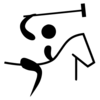 Polo pictogram