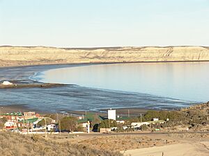Puerto Pirámides y Golfo Nuevo