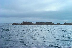 Rags - Scilly - geograph.org.uk - 35775
