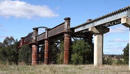 Railway bridge Lachlan River south of Cowra NSW 1.jpg