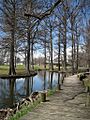 Reelfoot Lake State Park Cypress Boardwalk Obion County TN 2013-04-06 030