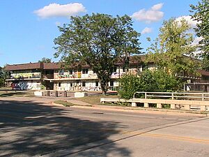 Reo Town Deluxe Inn Lansing, Michigan
