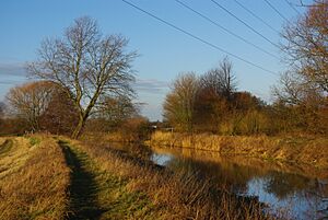 River Ivel north of Blunham - geograph.org.uk - 2813836