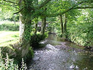 River Ottery - geograph.org.uk - 212774