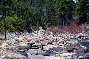 River Rocks (440298432)