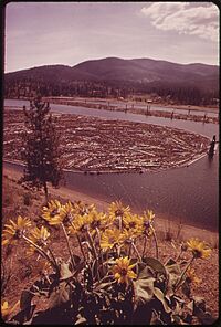 SPOKANE RIVER AT POST FALLS, IDAHO, WITH LOG BOOM OF THE LOUISIANA PACIFIC LUMBER PLANT FLOATING IN THE WATER - NARA - 548162