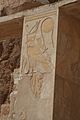 S F-E-CAMERON Hatshepsut Hawk