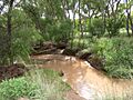 San Pedro House & River Sierra Vista AZ 2018-08-10 09-07-46 (29447176047)