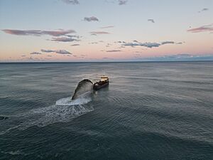 Sand Nourishment barge at work in June 2025