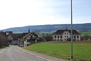 Schneisingen 115