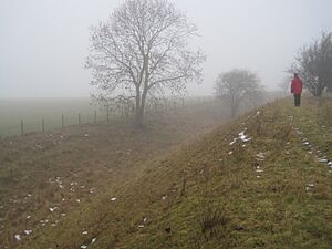 Segsbury Camp ditch