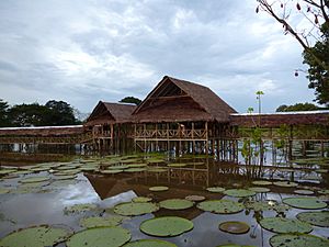 Sitio de la Victoria regia, Leticia