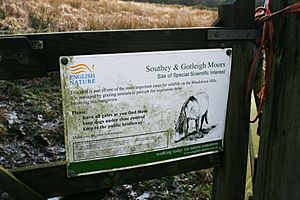 Southey and Gotleigh Moors SSSI (geograph 3318943).jpg