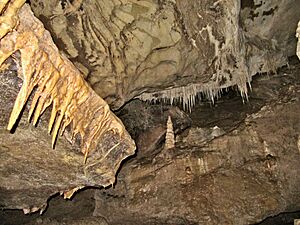 Stalactites and stalagmites in Nikau Cave