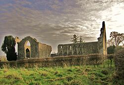 The Abbey, Roscommon.JPG
