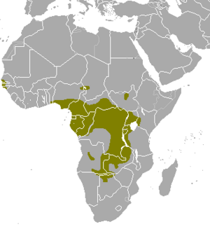 Tragelaphus spekii map.png