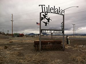 Welcome sign, south Tulelake