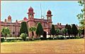 University of Agriculture, Faisalabad