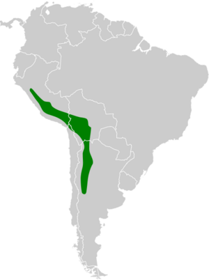 Upucerthia validirostris map.svg