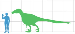 Utahraptor scale