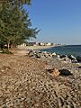 Venice, FL Beachfront