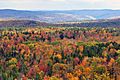 Vermont fall foliage hogback mountain