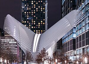 WTC Hub January 2017 2 vc