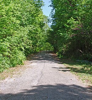 WauhatchiePikeChattanooga